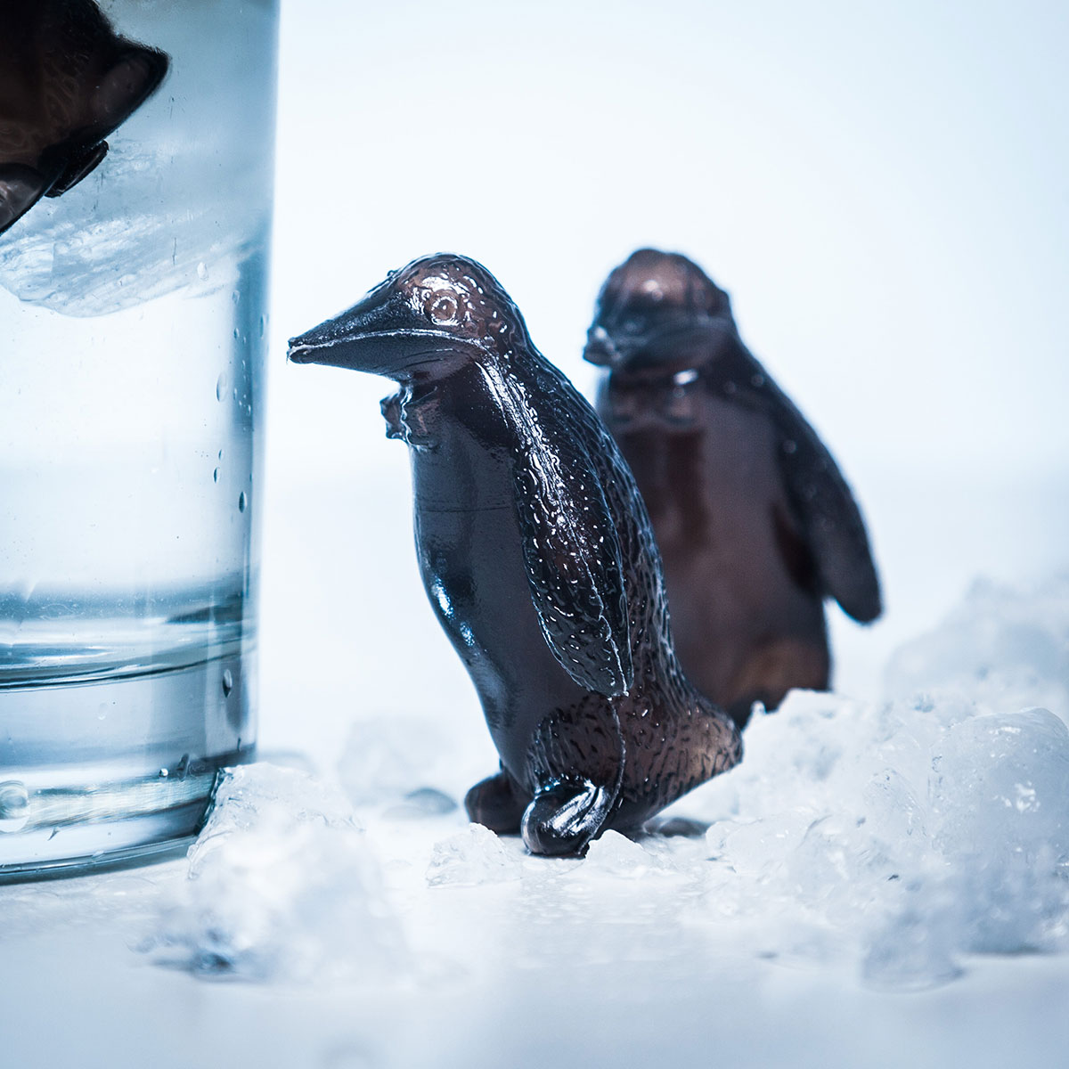 Pingüinos refrigerantes