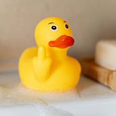 Pato chirriante del dedo medio