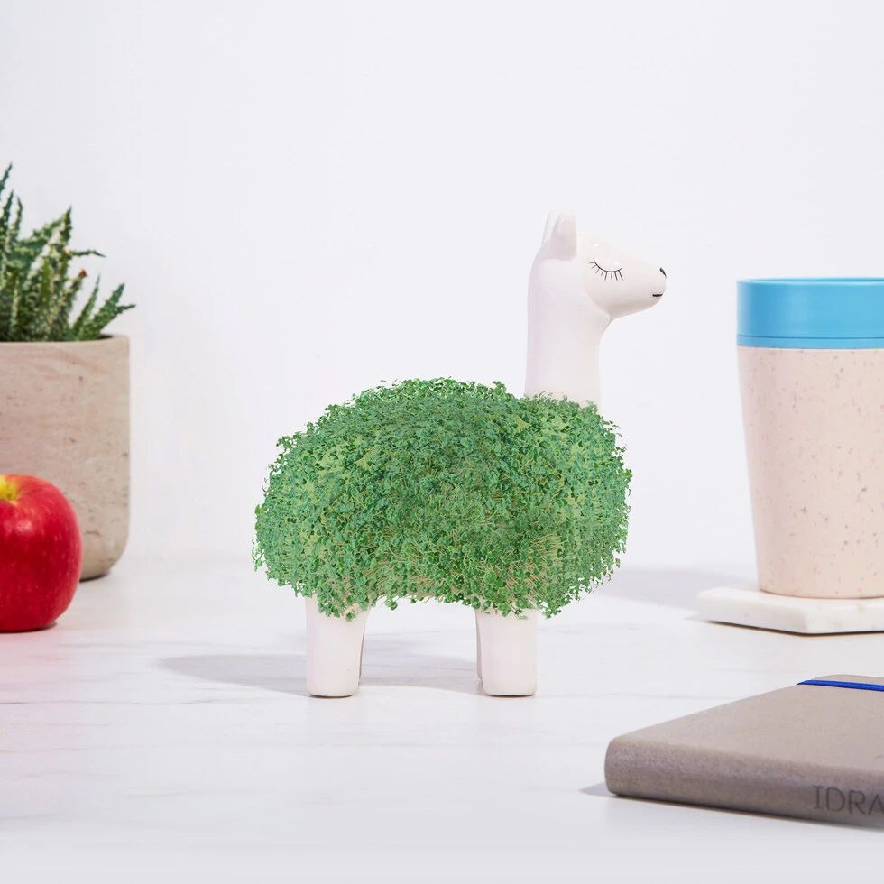 La Llama Verde
