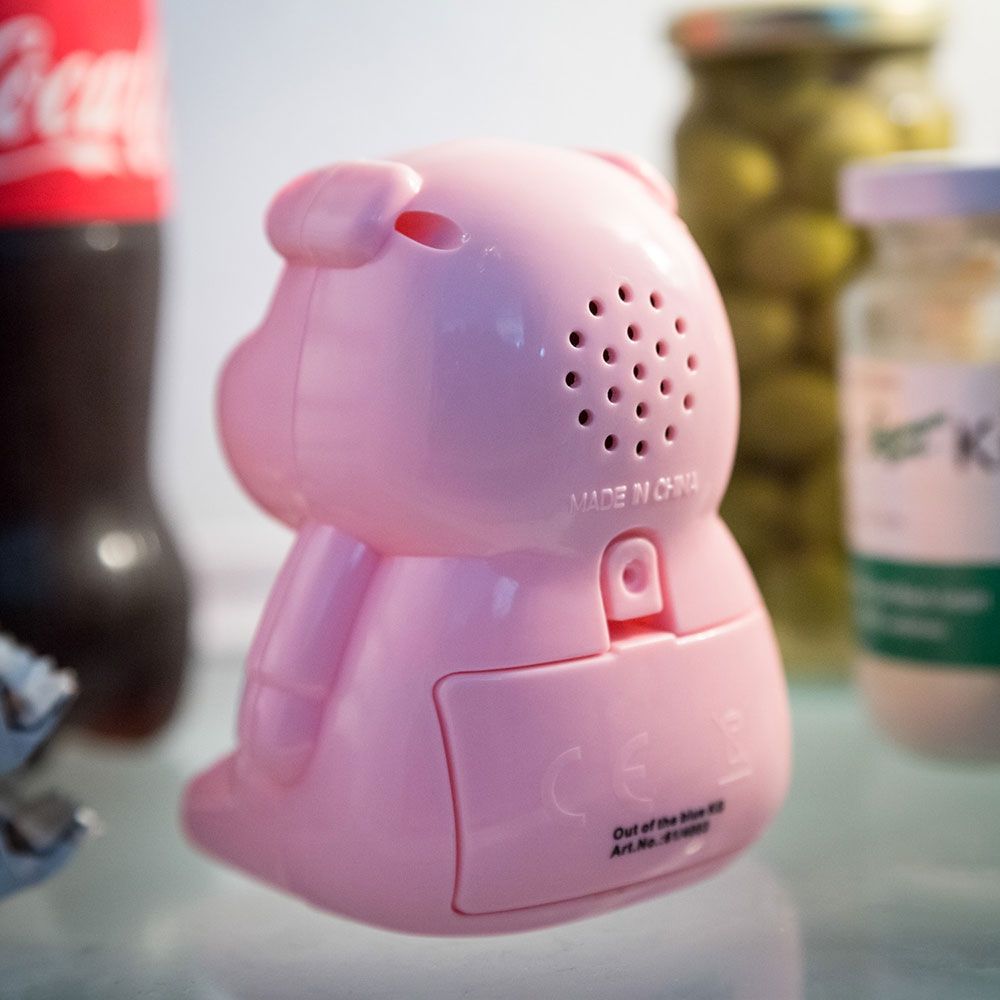 Cerdito de dieta para la nevera