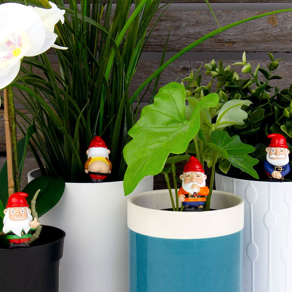 Juego de 4 gnomos de jardín descarados