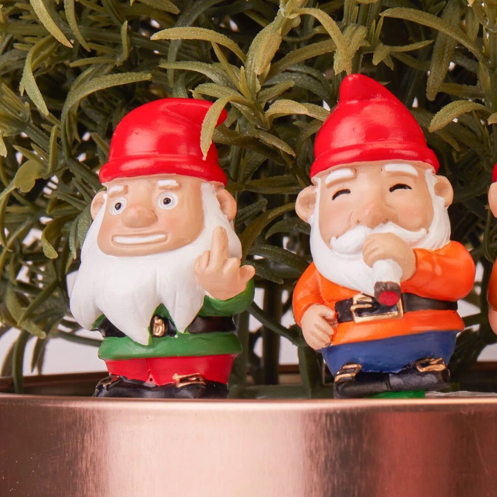 Juego de 4 gnomos de jardín descarados