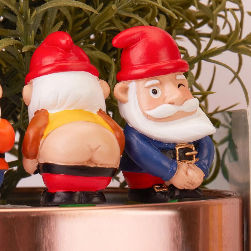 Juego de 4 gnomos de jardín descarados