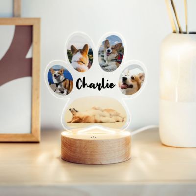 Lámpara LED personalizada de pata animal