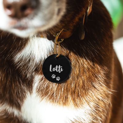 Placa para perro personalizada con el nombre