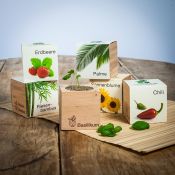 Ecocube - Maceta en madera