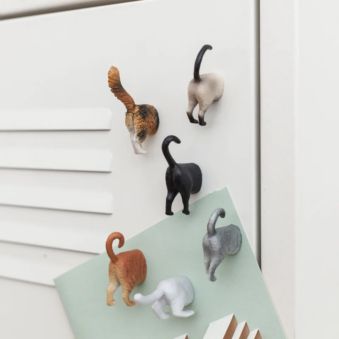 Juego de 6 imanes de nevera con el culo de gato