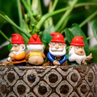 Juego de 4 gnomos de jardín descarados