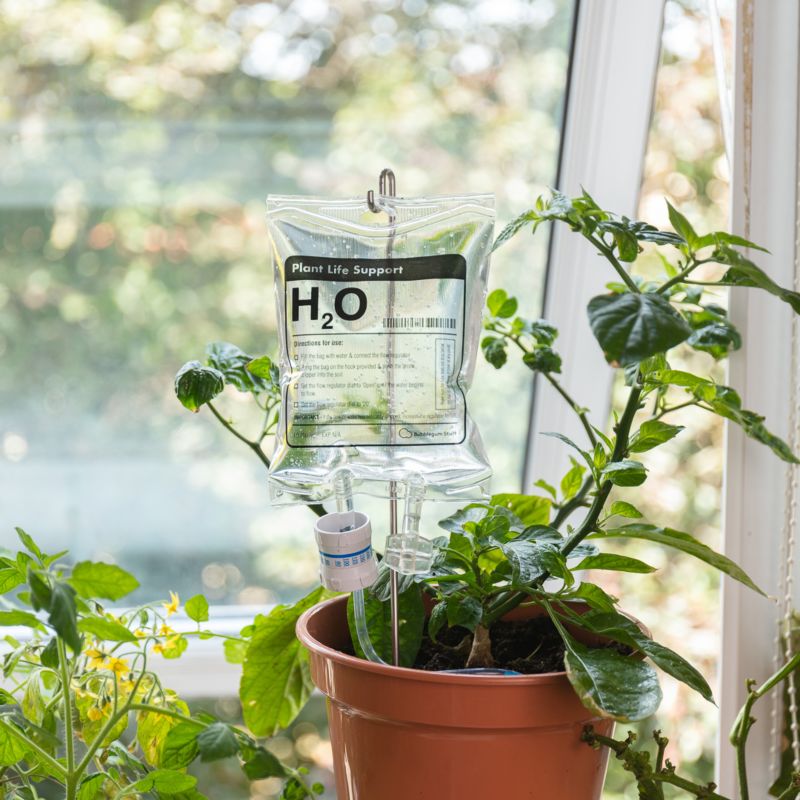 Riego de emergencia para plantas