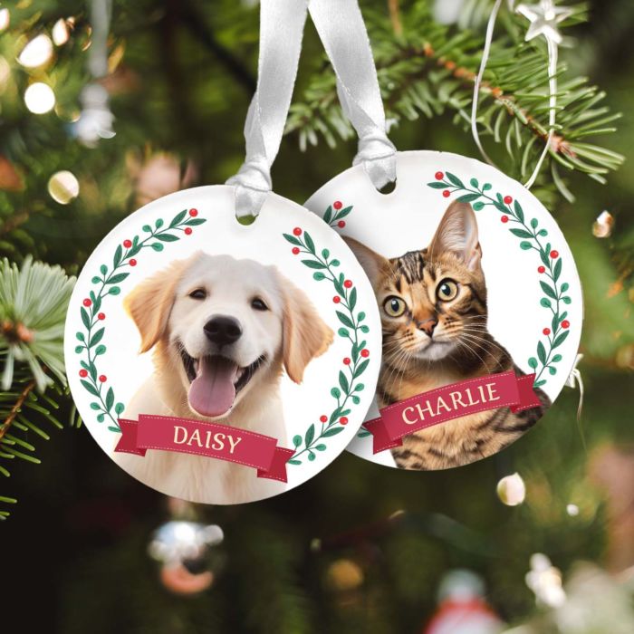 Juego de 2 colgantes de acrílico personalizables con mascota y corona