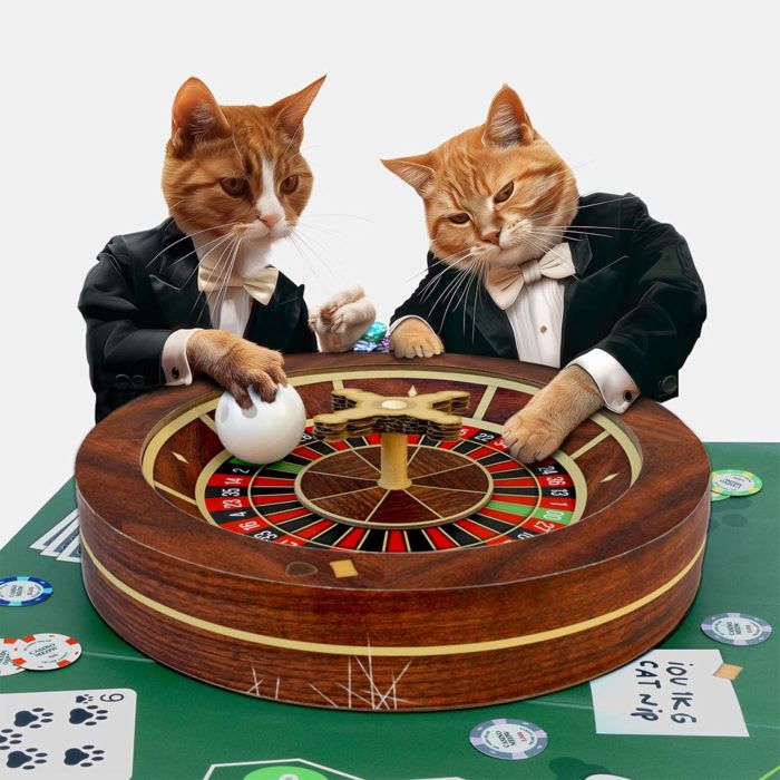 Juguete de ruleta para gatos