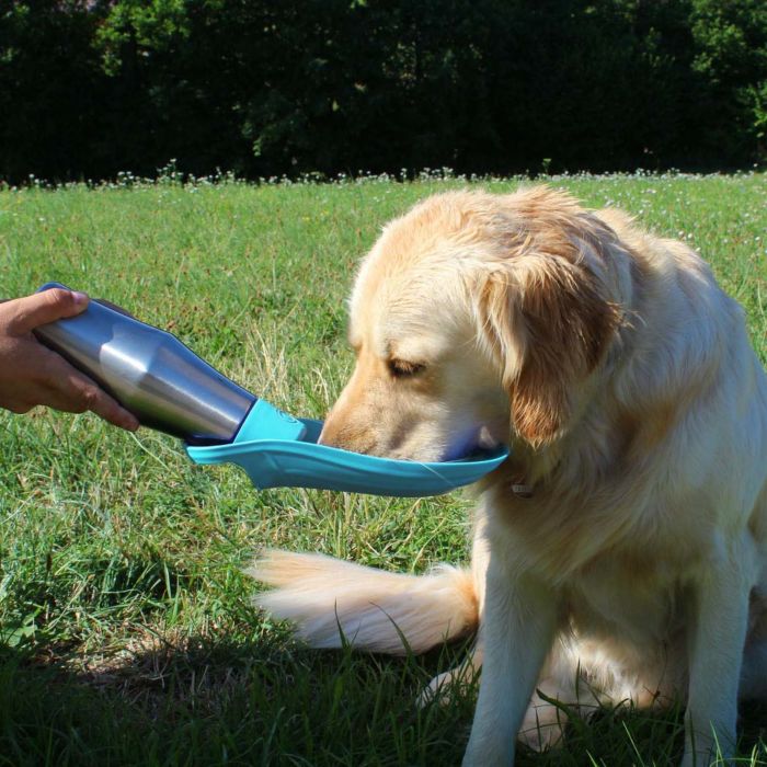 Botella de agua para mascotas