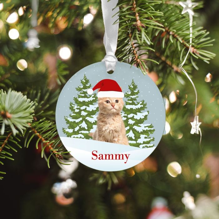 Juego de 2 colgantes de acrílico personalizables para mascotas con nombre