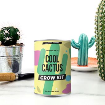 Cactus en lata