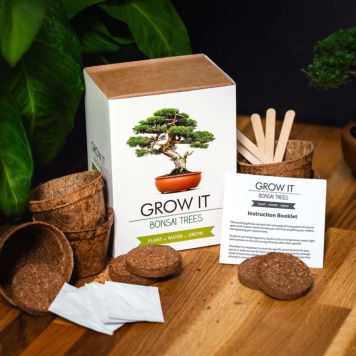 Bonsáis Grow It