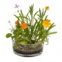 Ramillete de flores en una lata