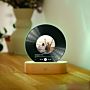 Lámpara LED personalizada diseño disco de vinilo