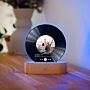 Lámpara LED personalizada diseño disco de vinilo