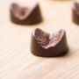 Anos de chocolate