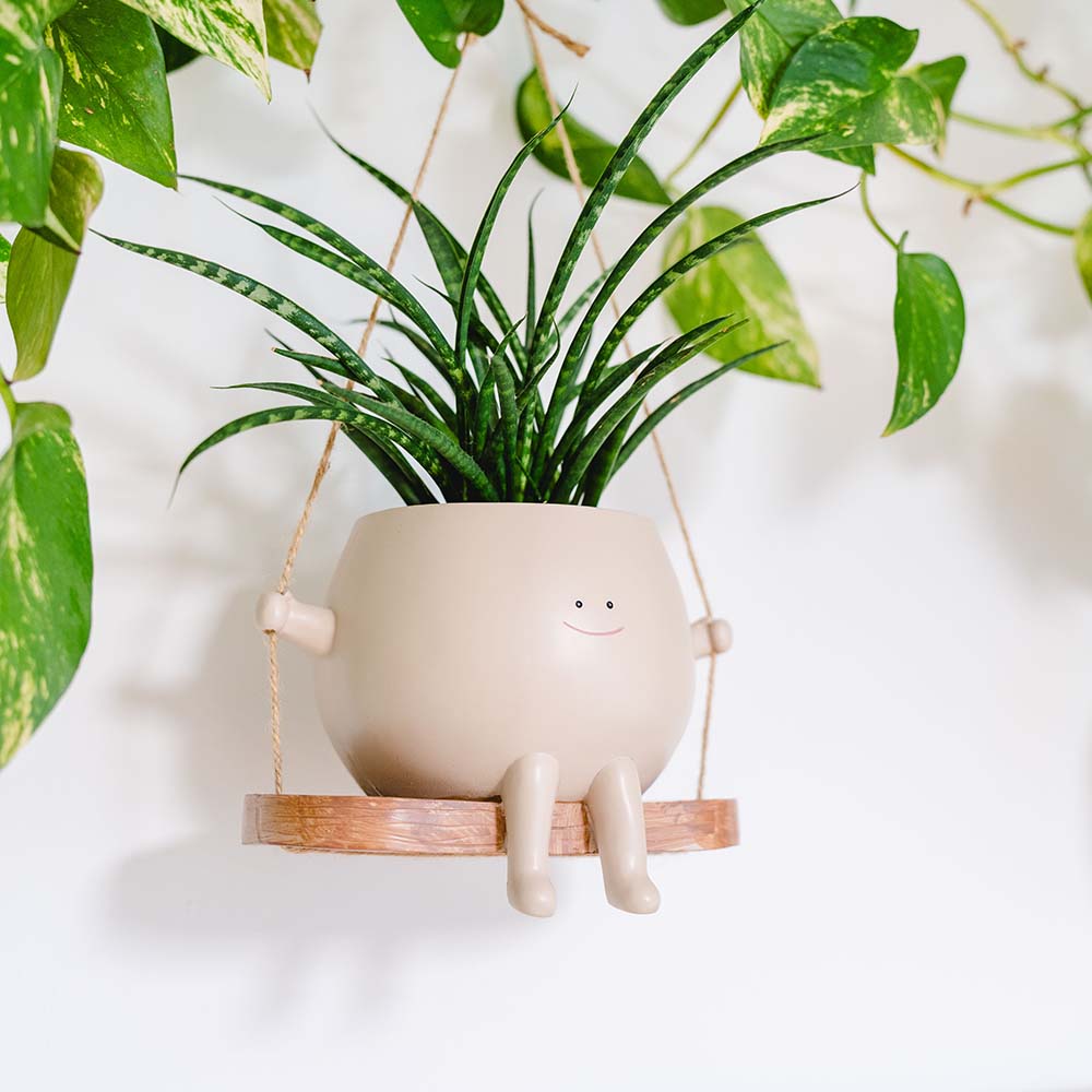 Maceta colgante con columpio